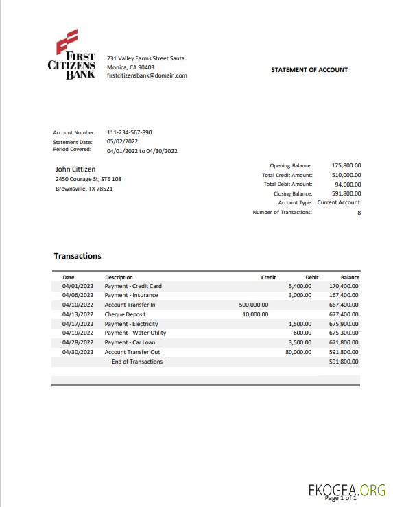 Modèle Word et PDF de relevé bancaire des États Unis Texas First Citizens